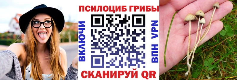 Псилоцибиновые грибы Magic Shrooms  Волжский 